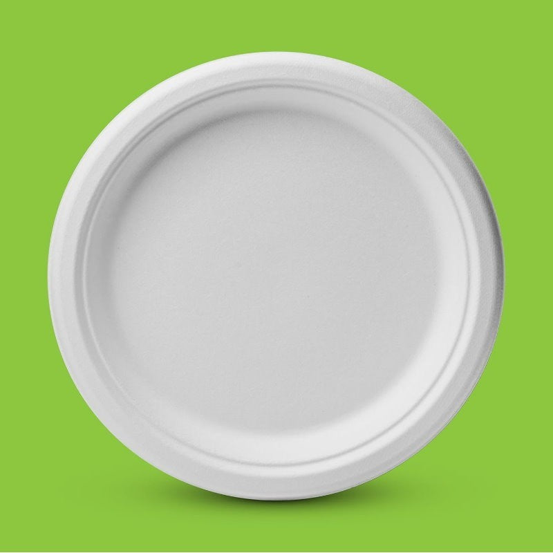 iECO 120-Pack 10" (25cm) Compostable Disposable Bagasse Plates Heavy Duty ECO