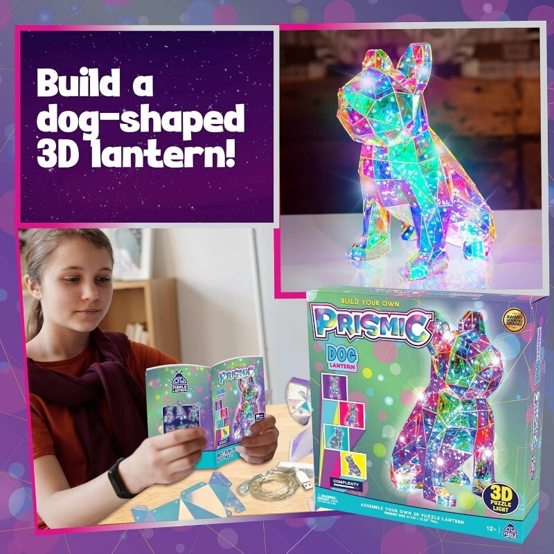Purple Ladybug Prismic 3D Puzzle Night Light Tabletop Lantern DIY Arts & Crafts
