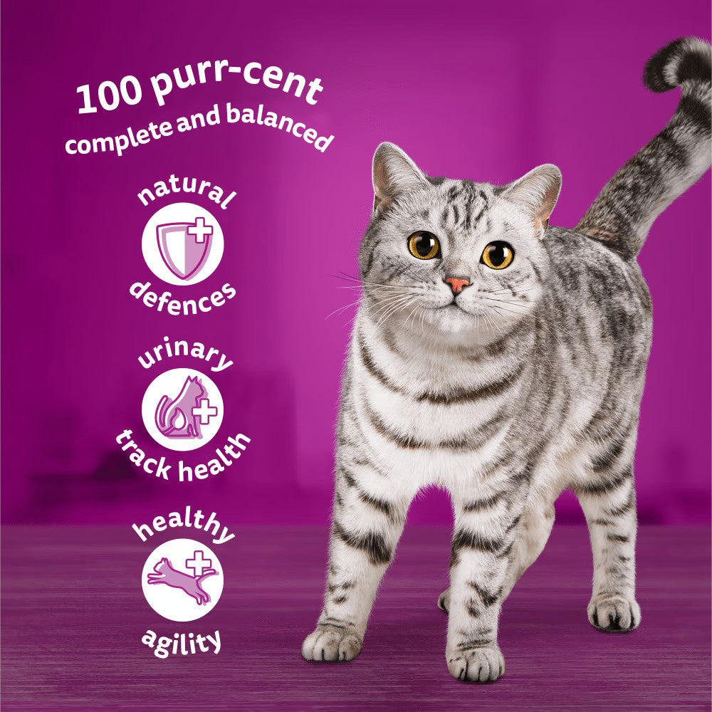 12 x 85g Whiskas Wet Cat Food Ocean Fishy Recipes Tuna Salmon Mackerel Real Fish