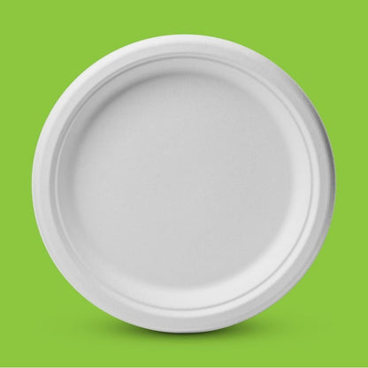 iECO 120-Pack 10" (25cm) Compostable Disposable Bagasse Plates Heavy Duty ECO