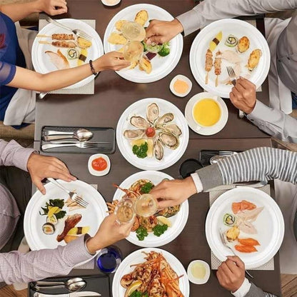 iECO 120-Pack 10" (25cm) Compostable Disposable Bagasse Plates Heavy Duty ECO