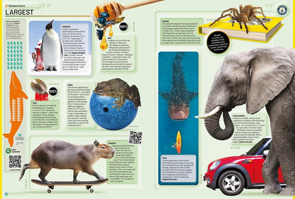 Guinness World Records 2026 Hardcover Kids Education Book Gift Idea Present