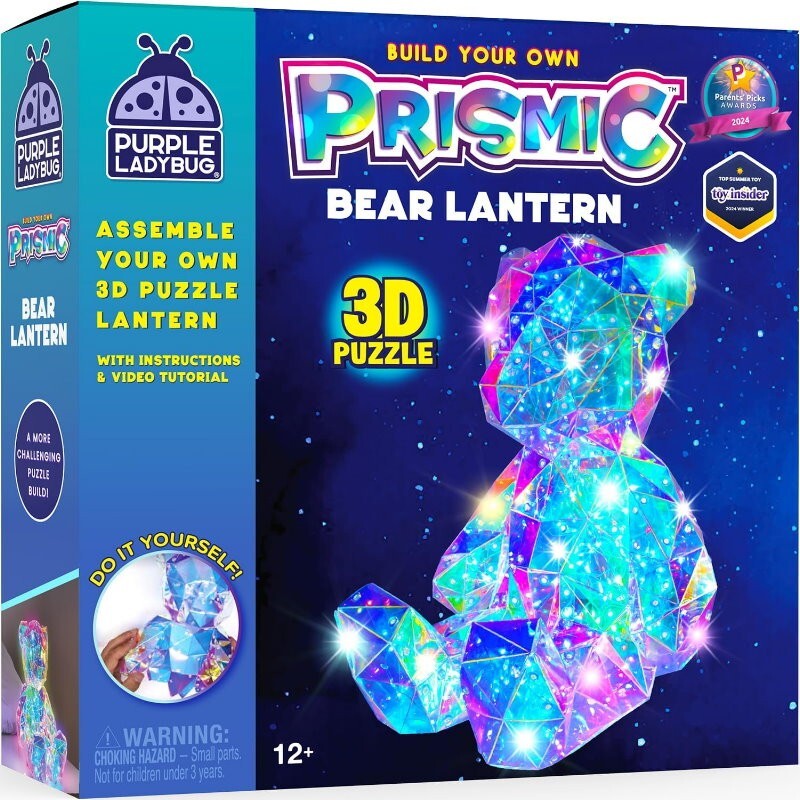 Purple Ladybug Prismic 3D Puzzle Night Light Tabletop Lantern DIY Arts & Crafts