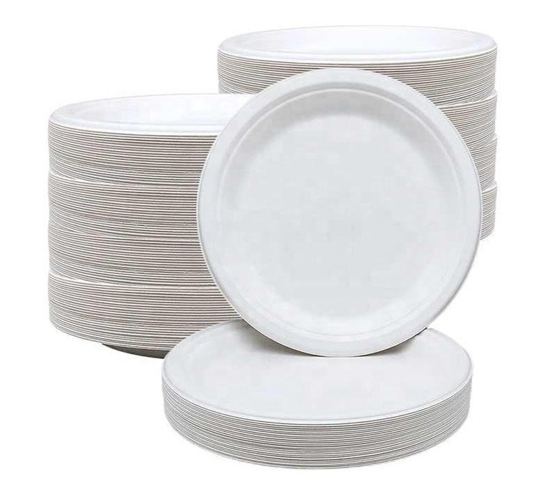 iECO 120-Pack 10" (25cm) Compostable Disposable Bagasse Plates Heavy Duty ECO