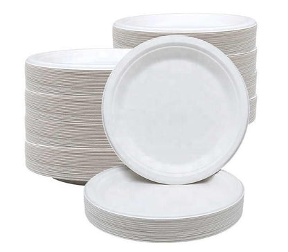 iECO 120-Pack 10" (25cm) Compostable Disposable Bagasse Plates Heavy Duty ECO