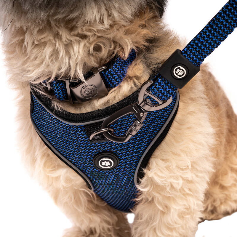 Silver Paw 3-in-1 Dog Collar, Leash & Harness Set - UV & Cold Alerts, Adjustable