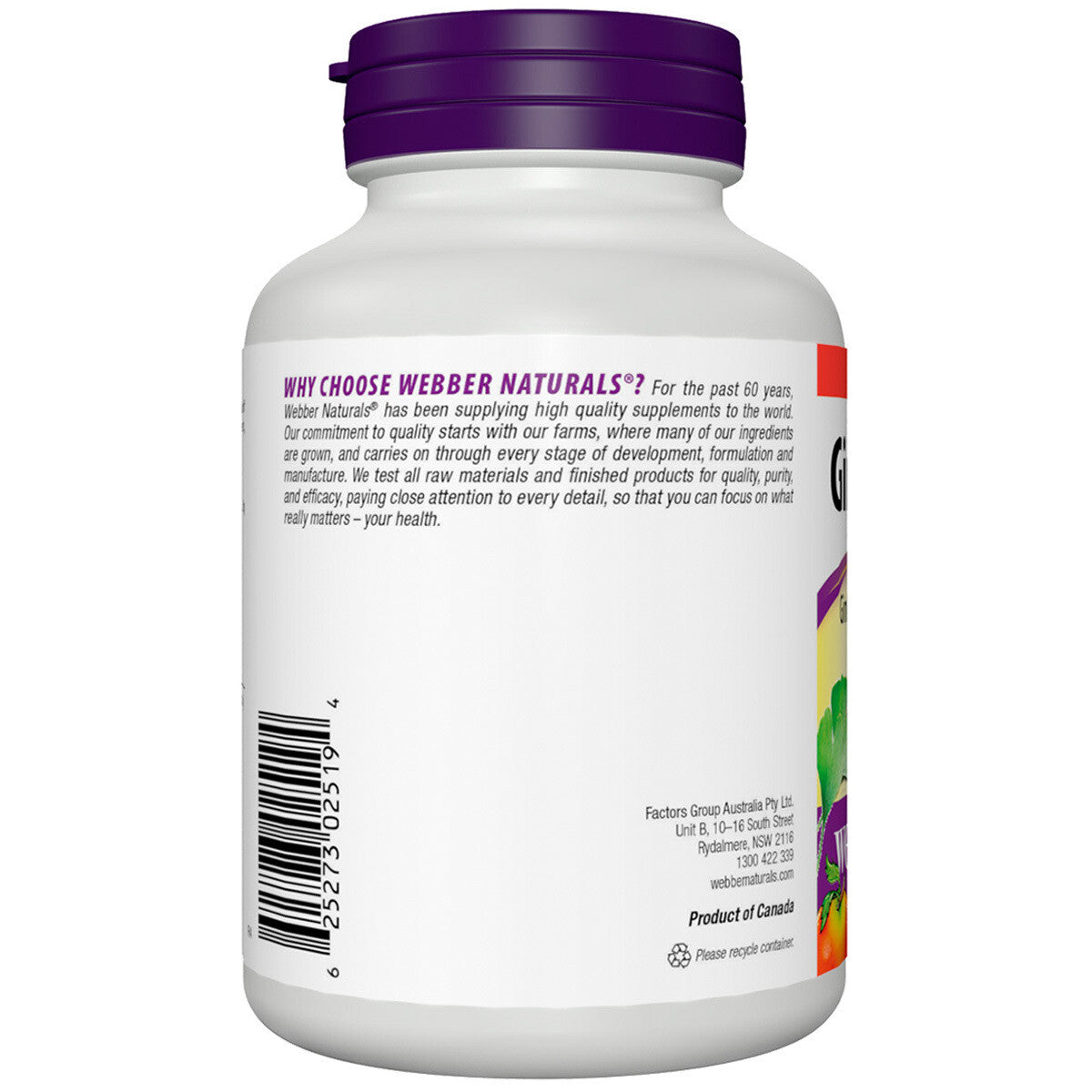 Webber Natural Ginkgo Biloba 250 Tablet 60mg Improve Memory and Metal Alertness