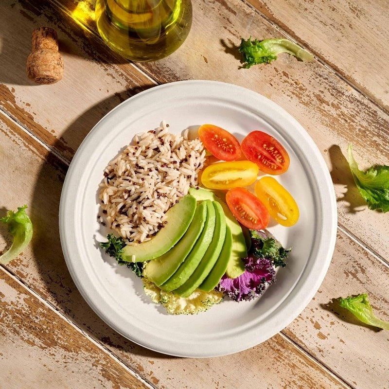 iECO 120-Pack 10" (25cm) Compostable Disposable Bagasse Plates Heavy Duty ECO