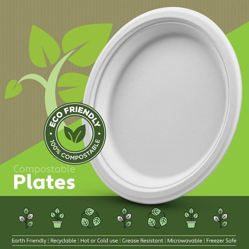 iECO 120-Pack 10" (25cm) Compostable Disposable Bagasse Plates Heavy Duty ECO