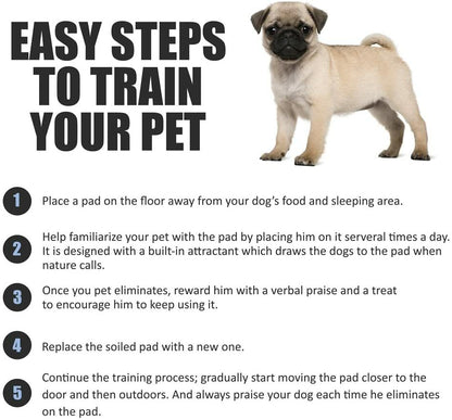 Kirkland Signature Extra-Large Absorbent Puppy Dog Training Pad 100pk 76 x 58cm