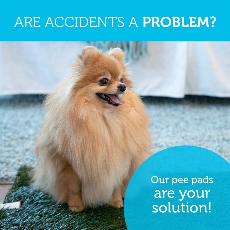 Silver Paw XL Potty Patch Dog Potty Reusable Training Toilet Grass Pee Pad Potty