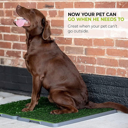Silver Paw XL Potty Patch Dog Potty Reusable Training Toilet Grass Pee Pad Potty