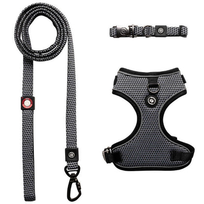 Silver Paw 3-in-1 Dog Collar, Leash & Harness Set - UV & Cold Alerts, Adjustable