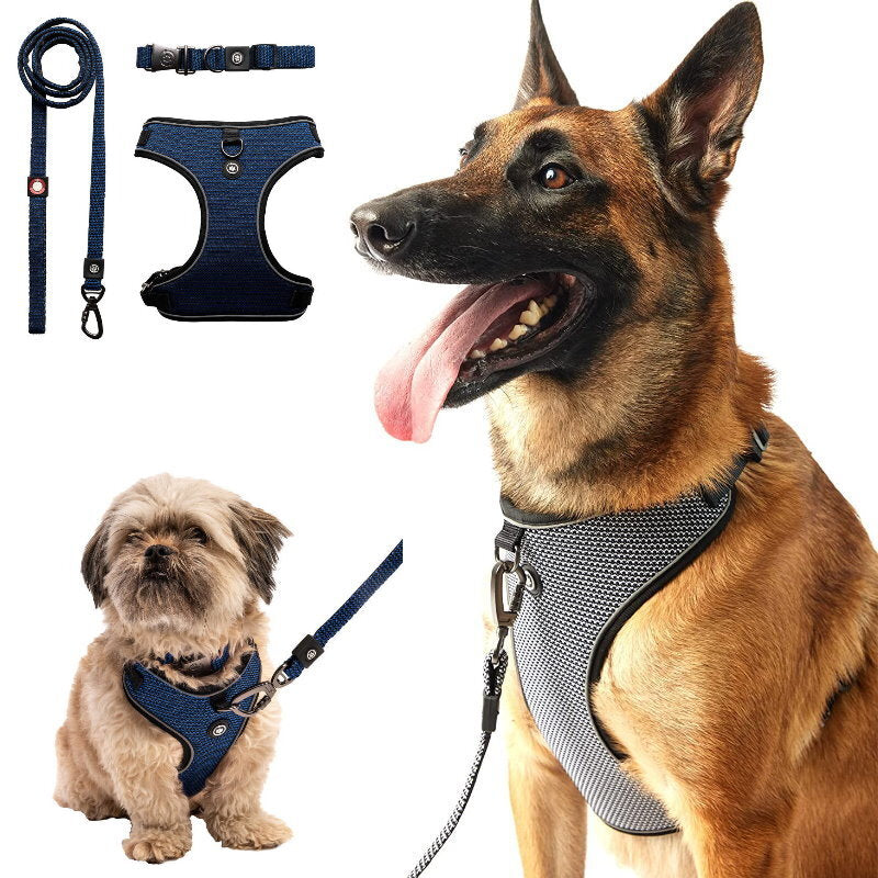 Silver Paw 3-in-1 Dog Collar, Leash & Harness Set - UV & Cold Alerts, Adjustable