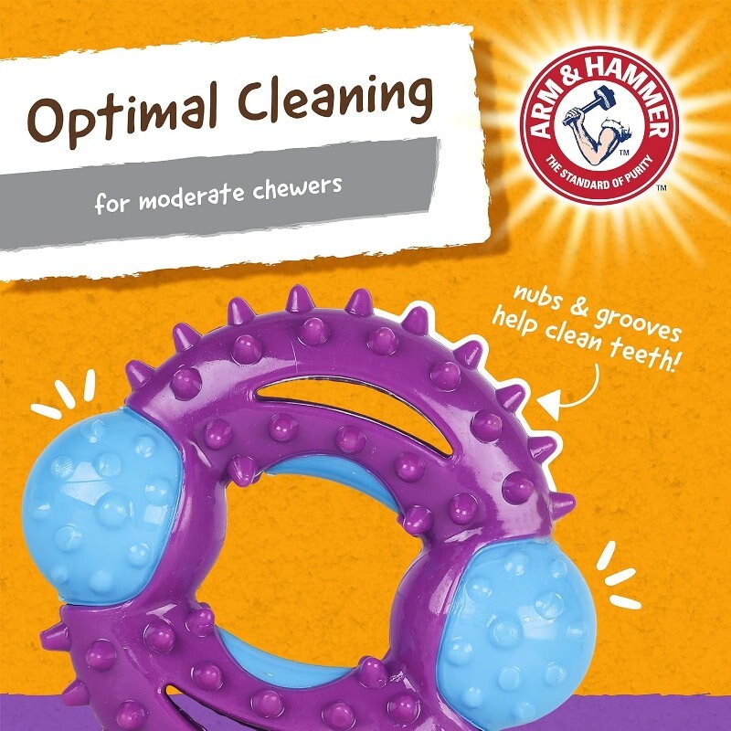 Arm & Hammer 4 Pack Nubbies Dental Chew Toy for Dogs Bone, Orion, TriBone, T-Rex
