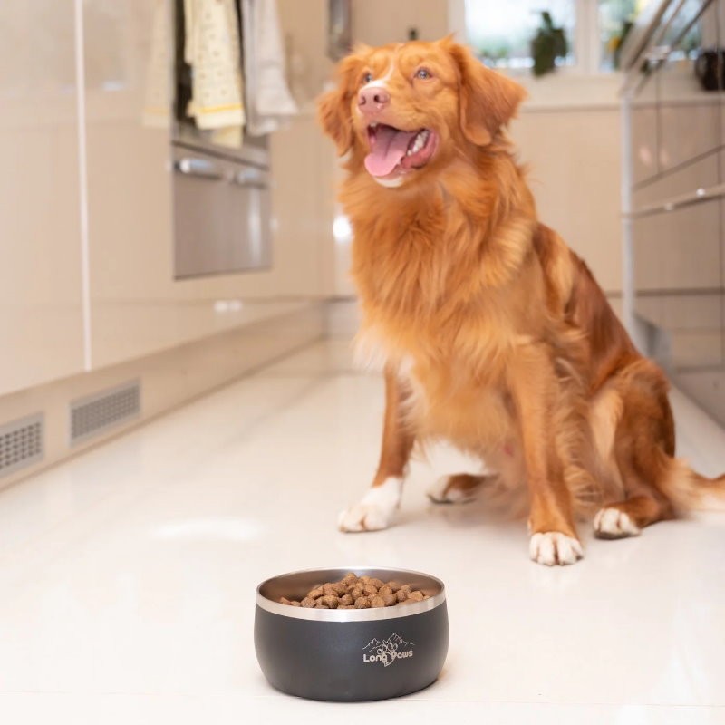 Long Paws Lunar Dog Bowls 1.8L Stainless Double-Wall Metal for Food & Water