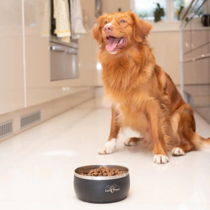 Long Paws Lunar Dog Bowls 1.8L Stainless Double-Wall Metal for Food & Water