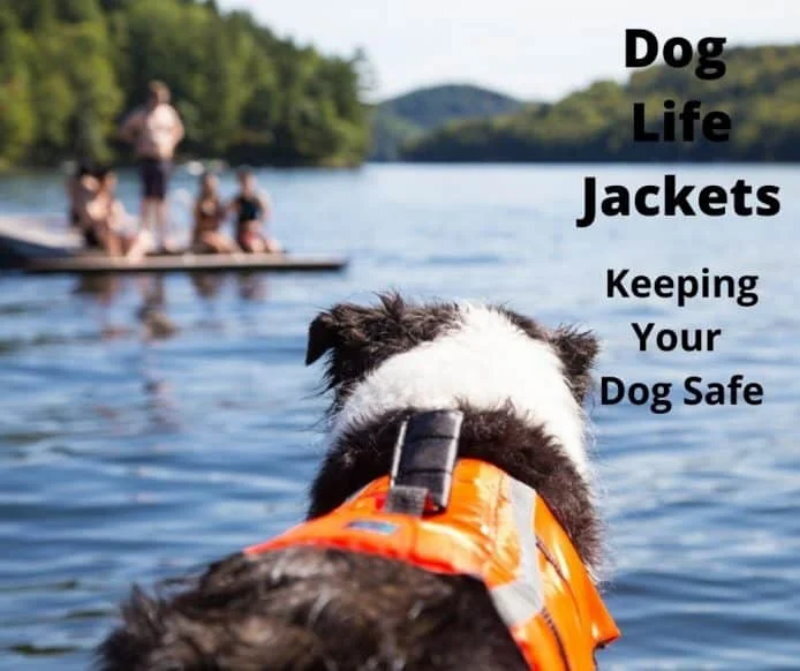 Silver Paw Neoprene Dog Life Jacket Vest with Handle UV Alert Safety Flotation