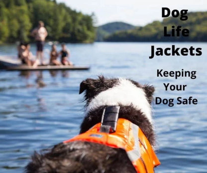 Silver Paw Neoprene Dog Life Jacket Vest with Handle UV Alert Safety Flotation