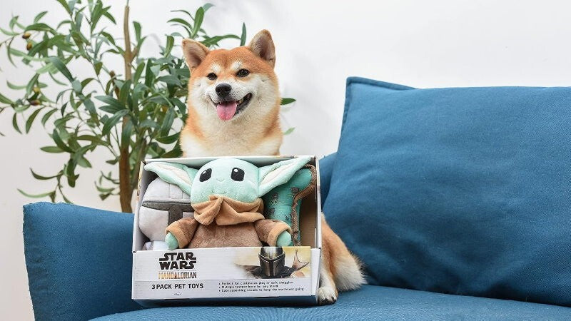 Star Wars Pets 3 Pcs The Mandalorian Set for Dog 9" Mandalorian, 9" GROGU, Bone