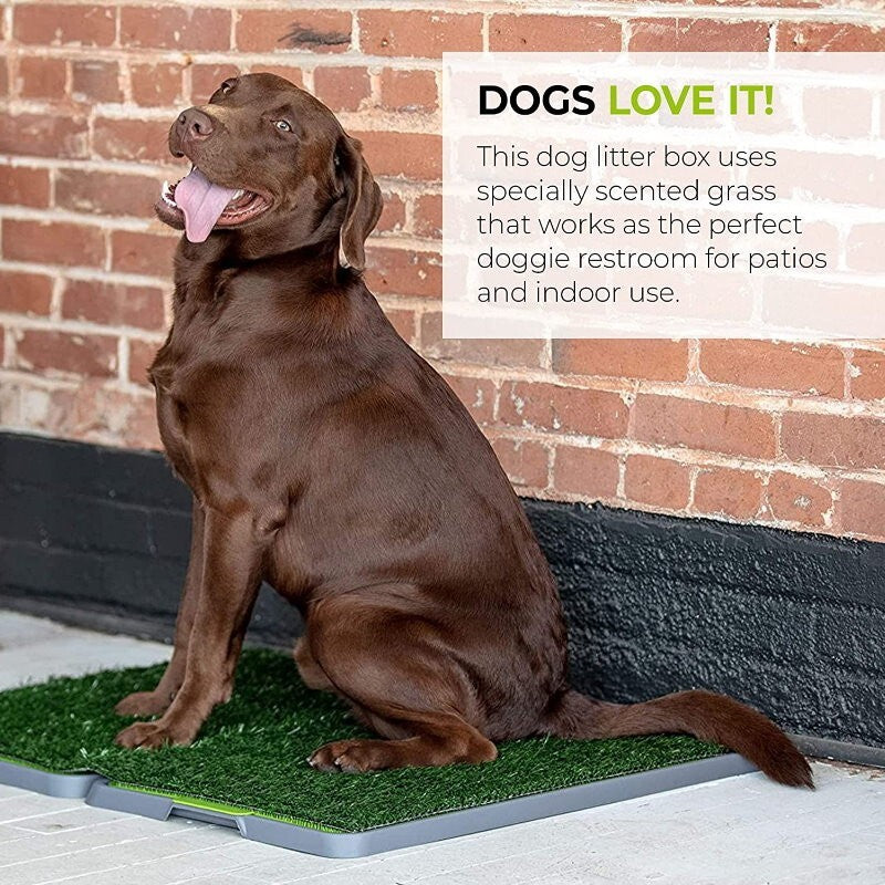 Silver Paw XL Potty Patch Dog Potty Reusable Training Toilet Grass Pee Pad Potty