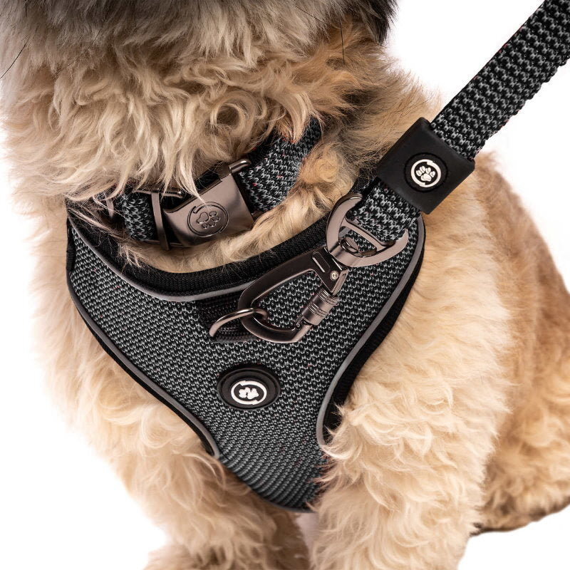 Silver Paw 3-in-1 Dog Collar, Leash & Harness Set - UV & Cold Alerts, Adjustable