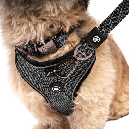 Silver Paw 3-in-1 Dog Collar, Leash & Harness Set - UV & Cold Alerts, Adjustable