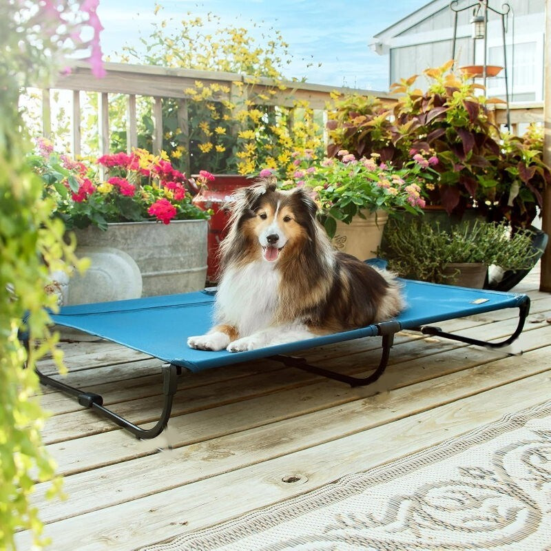 Canine Canyon 39" Portable Indoor/Outdoor Cooling Dog Bed with Removable Canopy