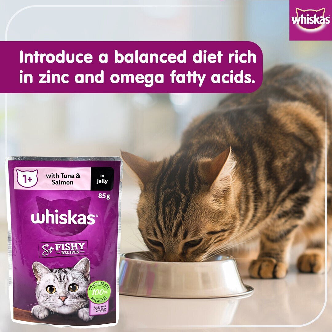 12 x 85g Whiskas Wet Cat Food Ocean Fishy Recipes Tuna Salmon Mackerel Real Fish