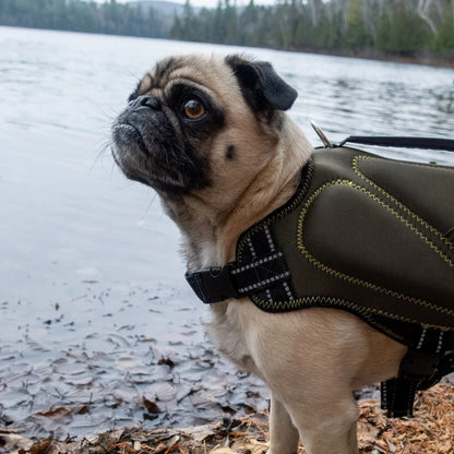 Silver Paw Neoprene Dog Life Jacket Vest with Handle UV Alert Safety Flotation