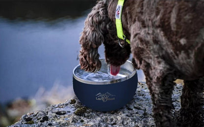 Long Paws Lunar Dog Bowls 1.8L Stainless Double-Wall Metal for Food & Water