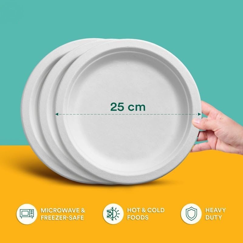 iECO 120-Pack 10" (25cm) Compostable Disposable Bagasse Plates Heavy Duty ECO