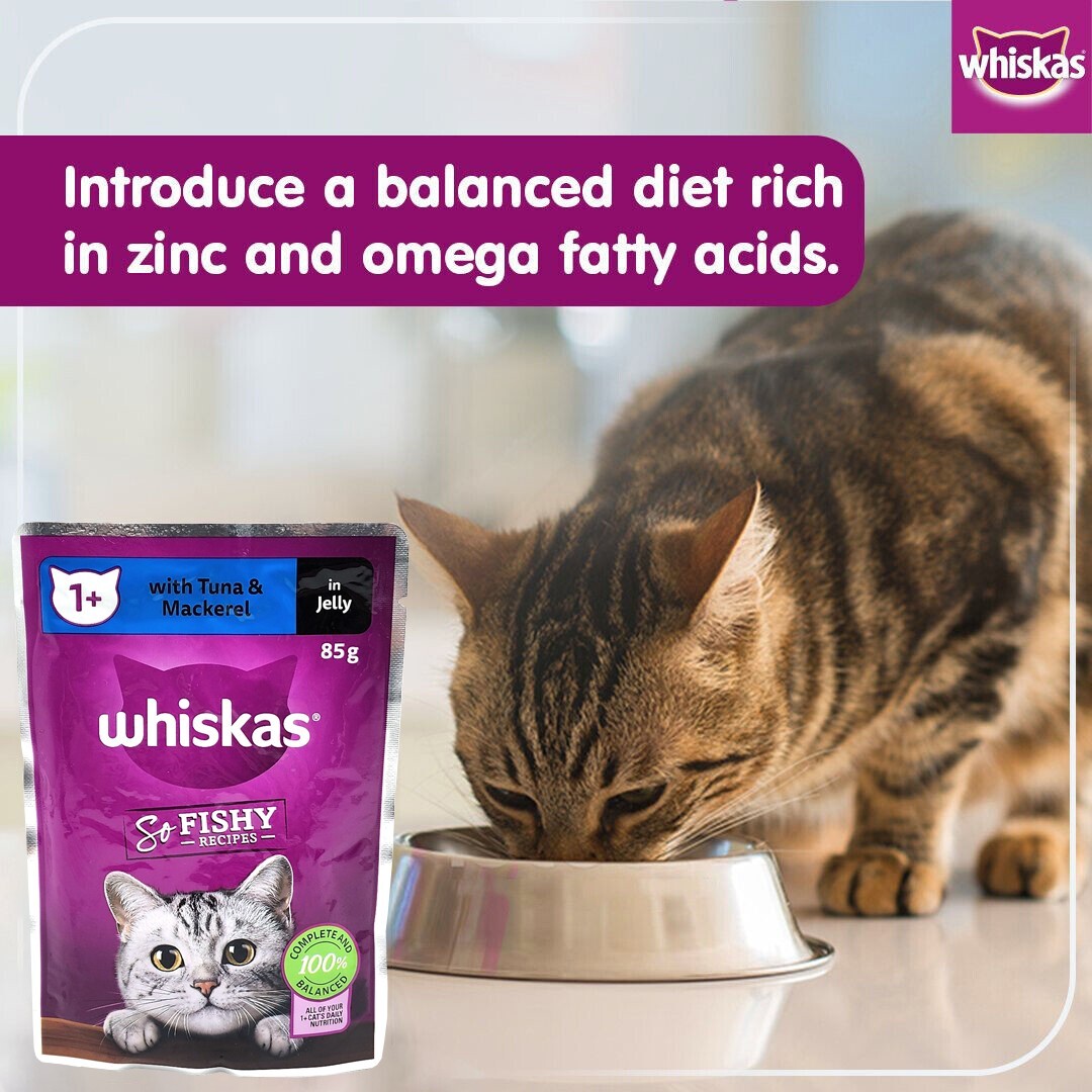 12 x 85g Whiskas Wet Cat Food Ocean Fishy Recipes Tuna Salmon Mackerel Real Fish