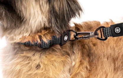 Silver Paw 3-in-1 Dog Collar, Leash & Harness Set - UV & Cold Alerts, Adjustable