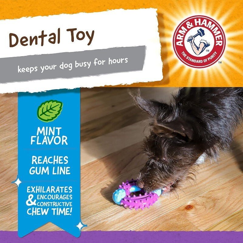 Arm & Hammer 4 Pack Nubbies Dental Chew Toy for Dogs Bone, Orion, TriBone, T-Rex