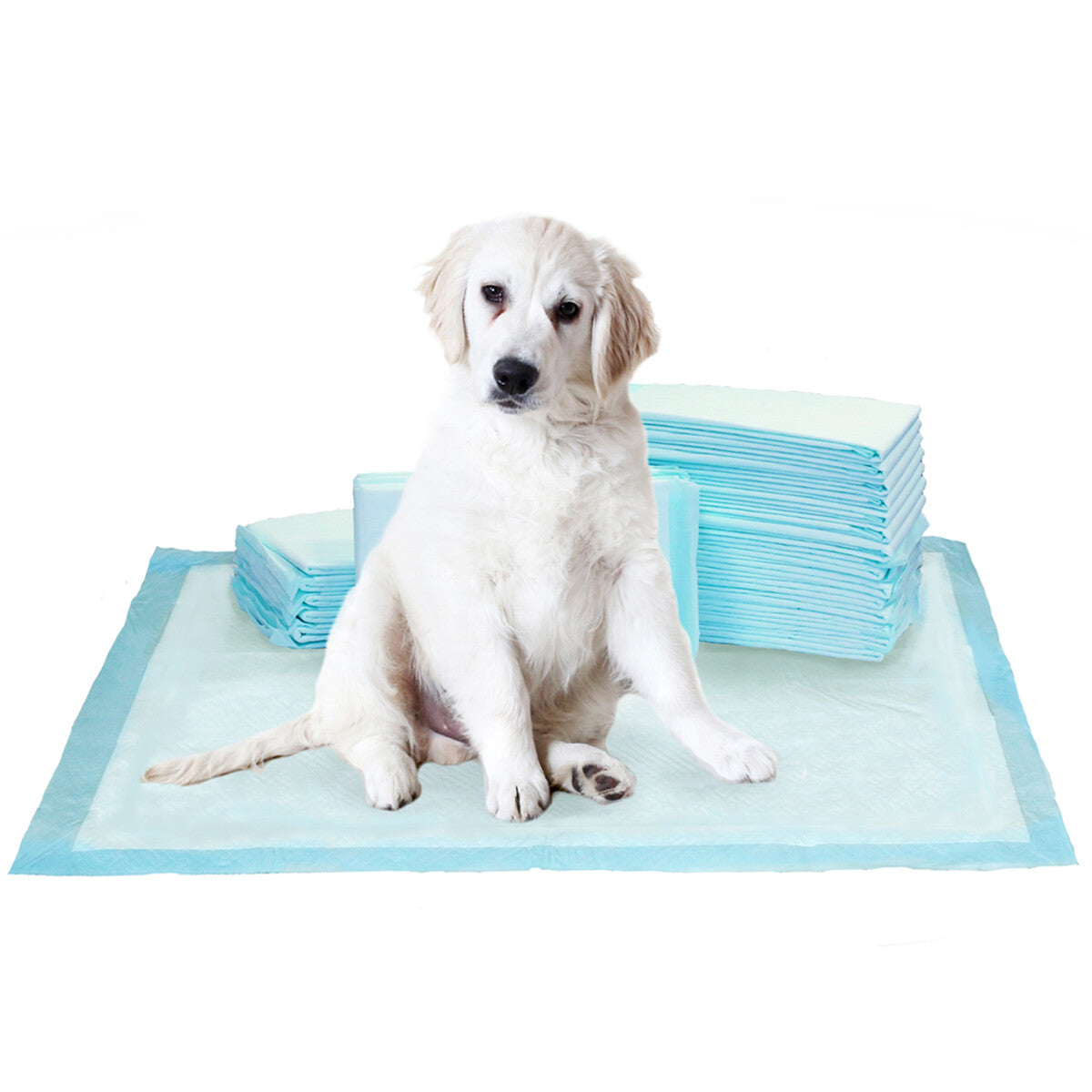 Kirkland Signature Extra-Large Absorbent Puppy Dog Training Pad 100pk 76 x 58cm