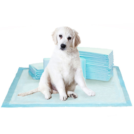 Kirkland Signature Extra-Large Absorbent Puppy Dog Training Pad 100pk 76 x 58cm