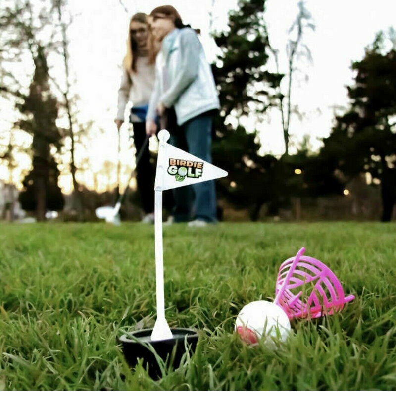 Hog Wild Birdie Outdoor Golf Play Set - Outdoor Game for Family Fun