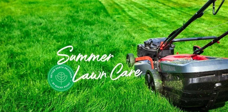Rocky Point Ultimate Lawn Care Kit Feed Weed Lawn Food Grass Paint Weeding Tool