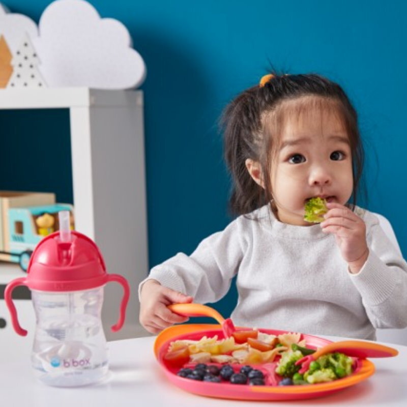 b.box Toddler Feeding Set Divided Plate, Sippy Cup, Cutlery Set - Self Training