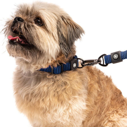 Silver Paw 3-in-1 Dog Collar, Leash & Harness Set - UV & Cold Alerts, Adjustable