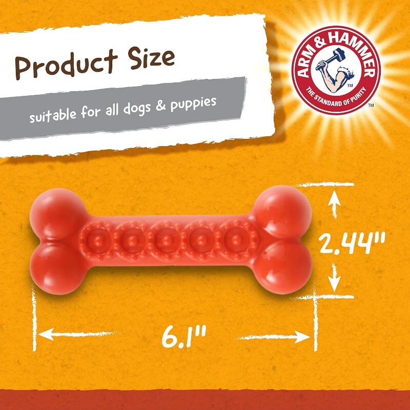 Arm & Hammer 4 Pack Nubbies Dental Chew Toy for Dogs Bone, Orion, TriBone, T-Rex