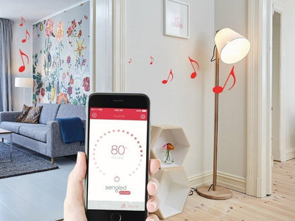 Sengled Pulse 2-Pack LED Bulb JBL Bluetooth Speaker Starter Kit Master Satellite