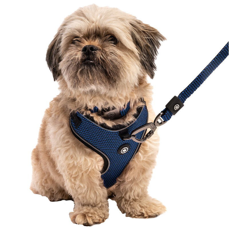 Silver Paw 3-in-1 Dog Collar, Leash & Harness Set - UV & Cold Alerts, Adjustable
