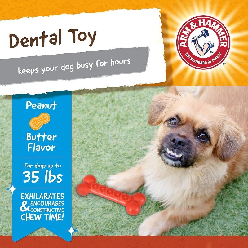 Arm & Hammer 4 Pack Nubbies Dental Chew Toy for Dogs Bone, Orion, TriBone, T-Rex