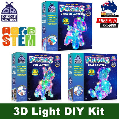 Purple Ladybug Prismic 3D Puzzle Night Light Tabletop Lantern DIY Arts & Crafts