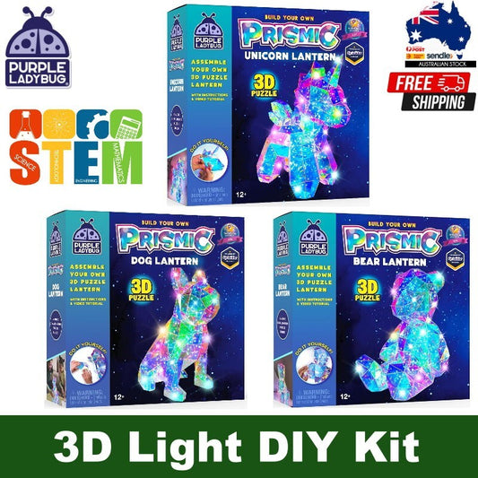 Purple Ladybug Prismic 3D Puzzle Night Light Tabletop Lantern DIY Arts & Crafts