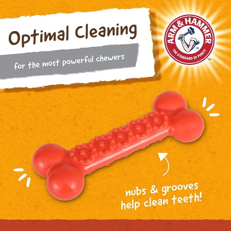 Arm & Hammer 4 Pack Nubbies Dental Chew Toy for Dogs Bone, Orion, TriBone, T-Rex