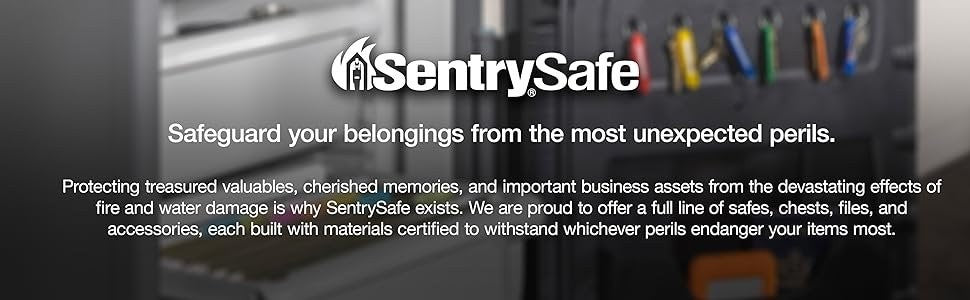 Sentry Safe CHW20101 Fireproof & Waterproof Privacy Lock Chest Safe Box with Key
