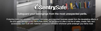 Sentry Safe CHW20101 Fireproof & Waterproof Privacy Lock Chest Safe Box with Key